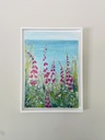 Summer Breeze